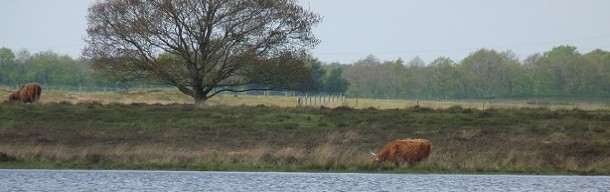 Natuur in Drenthe
