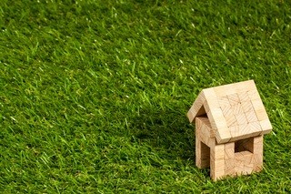 grass-architecture-structure-plant-lawn-meadow-630664-pxhere.com.jpg