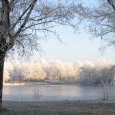 Topbanner winter 944x390