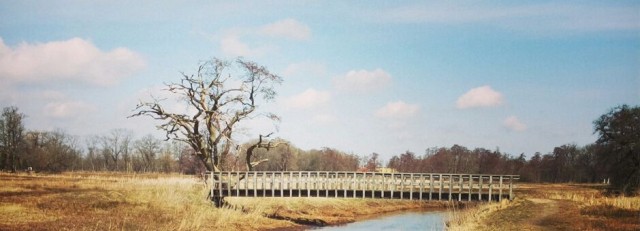 Drentse Aa