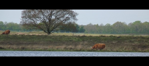 Natuur in Drenthe